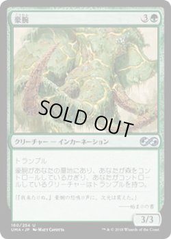 画像1: 豪腕/Brawn (UMA)《Foil》