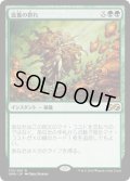滋養の群れ/Nourishing Shoal (UMA)