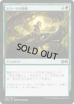 画像1: ムラーサの胎動/Pulse of Murasa (UMA)《Foil》