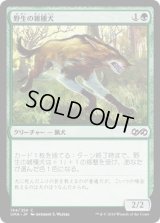 野生の雑種犬/Wild Mongrel (UMA)