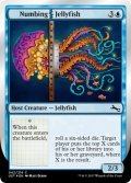 しびれ|クラゲ/Numbing|Jellyfish (UST)