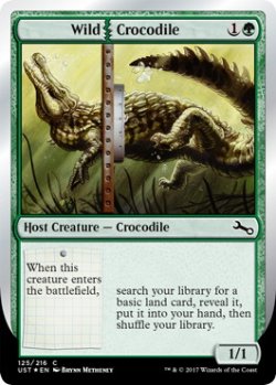 画像1: 野生の|クロコダイル/Wild|Crocodile (UST)