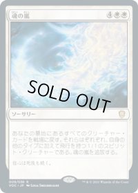 魂の嵐/Storm of Souls (VOC)