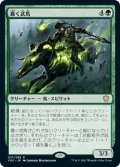 轟く武馬/Thundering Mightmare (VOC)