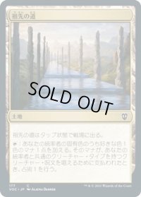 祖先の道/Path of Ancestry (VOC)