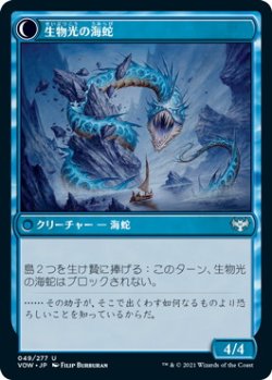 画像2: 生物光の卵/Biolume Egg (VOW)《Foil》