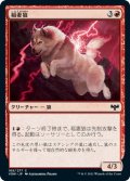 稲妻狼/Lightning Wolf (VOW)《Foil》
