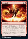 引き裂く炎/Rending Flame (VOW)
