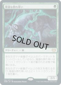 隆盛な群れ率い/Ascendant Packleader (VOW)《Foil》