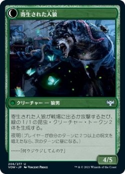 画像2: 寄生の専門家/Infestation Expert (VOW)《Foil》