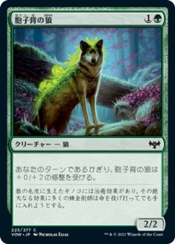 画像1: 胞子背の狼/Sporeback Wolf (VOW)《Foil》