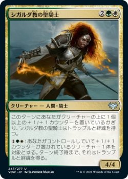 画像1: シガルダ教の聖騎士/Sigardian Paladin (VOW)《Foil》