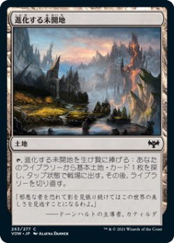 画像1: 進化する未開地/Evolving Wilds (VOW)《Foil》