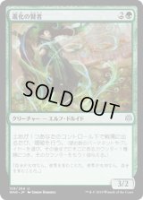 進化の賢者/Evolution Sage (WAR)