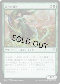 進化の賢者/Evolution Sage (WAR)《Foil》