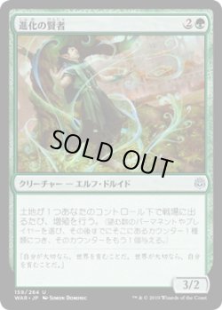 画像1: 進化の賢者/Evolution Sage (WAR)《Foil》