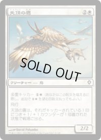 天頂の鷹/Apex Hawks (WWK)