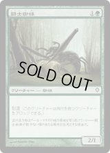 闘士蜘蛛/Grappler Spider (WWK)
