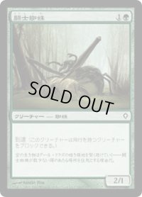 闘士蜘蛛/Grappler Spider (WWK)
