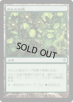 画像1: カルニの庭/Khalni Garden (WWK)《Foil》