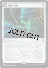 原初の呪物/Primal Amulet (XLN)《Foil》