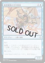 風雲艦隊の空中要員/Storm Fleet Aerialist (XLN)《Foil》