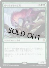 切り裂き顎の猛竜/Ripjaw Raptor (XLN)《Foil》