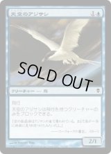天空のアジサシ/Welkin Tern (ZEN)