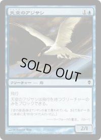 天空のアジサシ/Welkin Tern (ZEN)