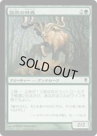 放牧の林鹿/Grazing Gladehart (ZEN)
