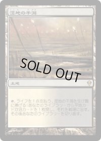 湿地の干潟/Marsh Flats (ZEN)