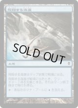 飛翔する海崖/Soaring Seacliff (ZEN)《Foil》