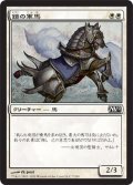 鎧の軍馬/Armored Warhorse (M12)