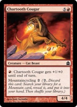 画像1: 黒焦げ牙のクーガー/Chartooth Cougar (CMD)