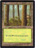 森/Forest (APAC Land 赤)