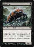 葬儀甲虫/Mortician Beetle (ROE)