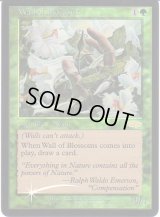 花の壁/Wall of Blossoms (FNM)