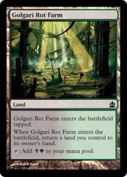 画像1: ゴルガリの腐敗農場/Golgari Rot Farm (CMD)