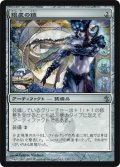 銀皮の鎧/Silverskin Armor (MBS)