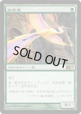 極楽鳥/Birds of Paradise (M12)