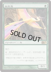 極楽鳥/Birds of Paradise (M12)