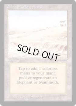 画像1: Elephant Graveyard (ARN)