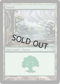 森/Forest (H09)