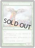 極楽鳥/Birds of Paradise (Buy a Box)