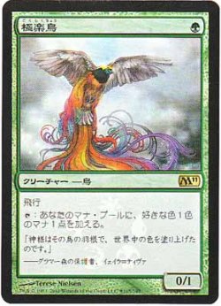 画像1: 極楽鳥/Birds of Paradise (Buy a Box)