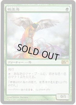 画像1: 極楽鳥/Birds of Paradise (Buy a Box)