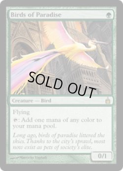 画像1: 極楽鳥/Birds of Paradise (RAV)
