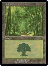森/Forest (Euro Land 赤)