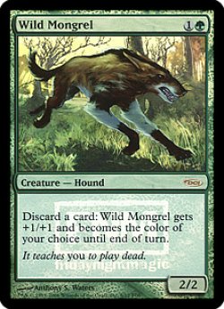 画像1: 野生の雑種犬/Wild Mongrel (FNM)