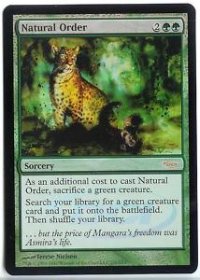 自然の秩序/Natural Order (Judge)